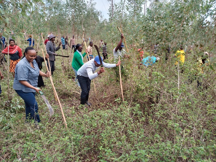 Kayonza bakonoreye ishyamba banagabanya ibyatsi birimo