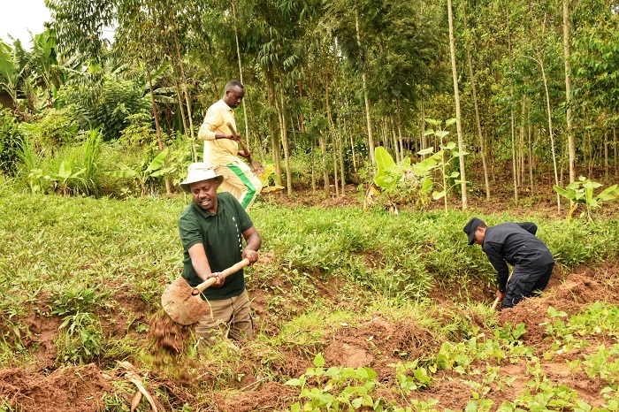 Hasibuwe imirwanyasuri yari yarasibye