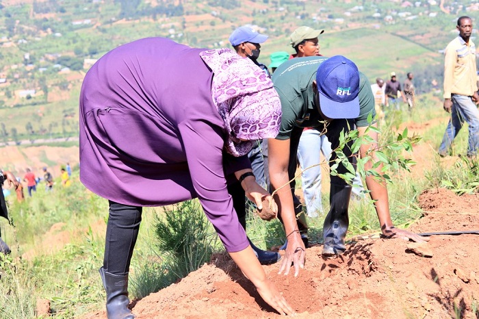 Rwamagana bateye ibiti ndetse banacukura imirwanyasuri