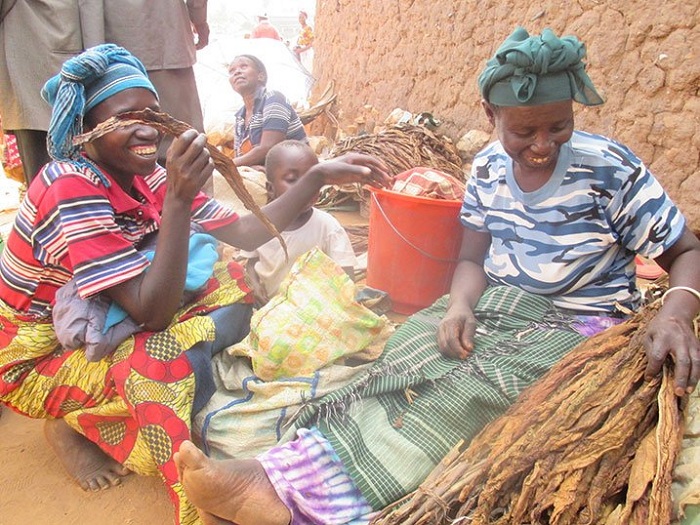 Itabi ry'igikamba bashyira mu nkono y'itabi bagatumagura