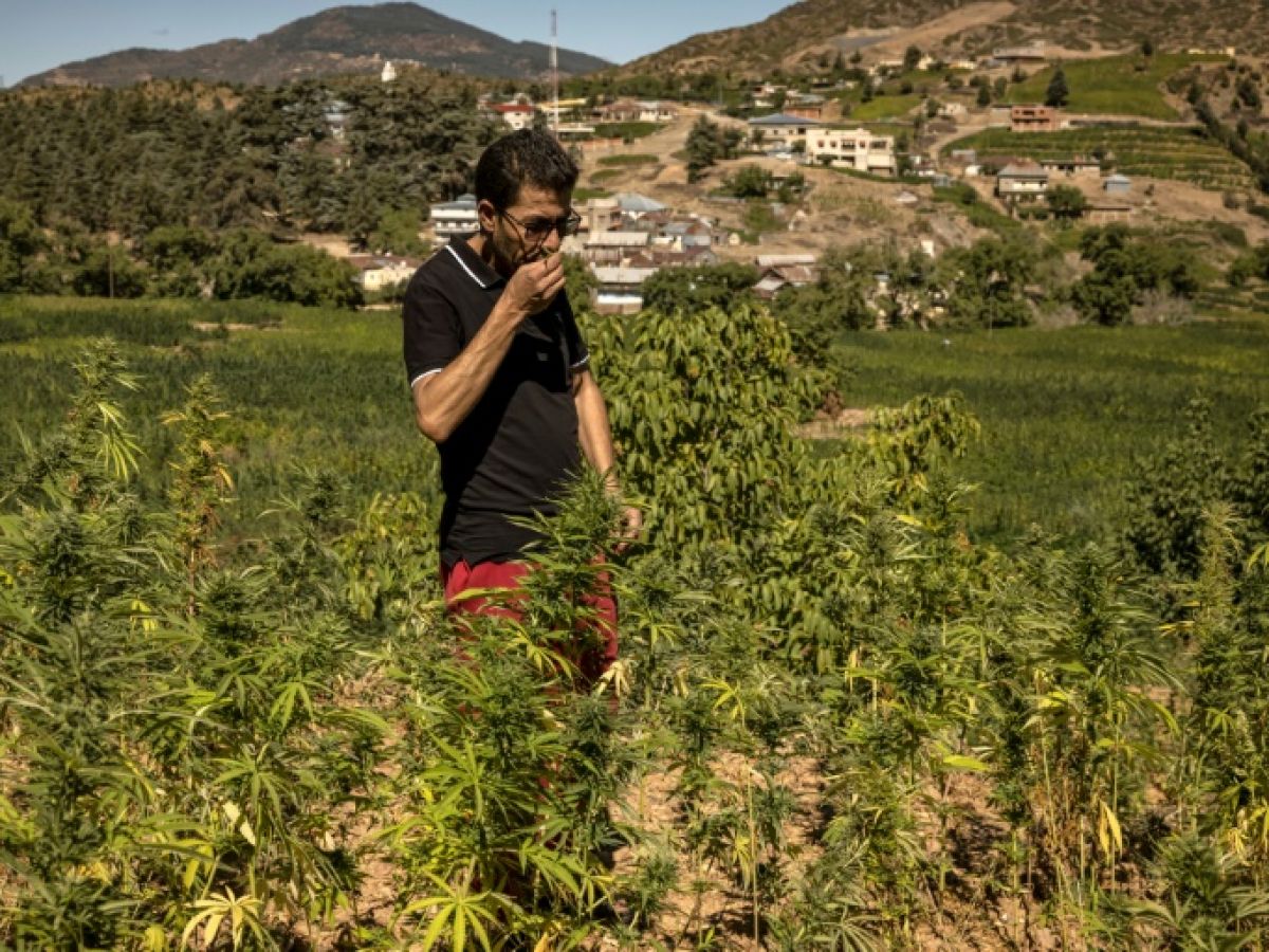 Itegeko rya Maroc ryemera ubuhinzi bw