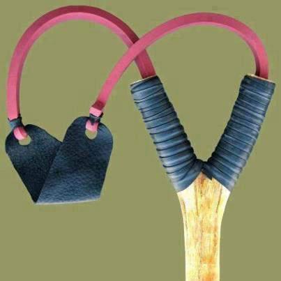 Itopito yagize uruhare mu guhohotera inyoni/ Photo/ Internet