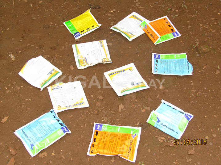 Iyi ni imwe mu miti abaganga basanzwe bavurira Mukansanga inkoko bamwoherereje ariko ntacyo yamaze. 