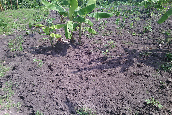 Iyi sambu niyo yari itumye umugabo yivugana murumuna we. 