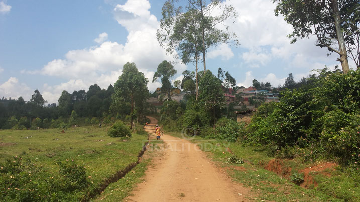 Iyi nzira ikikijwe n