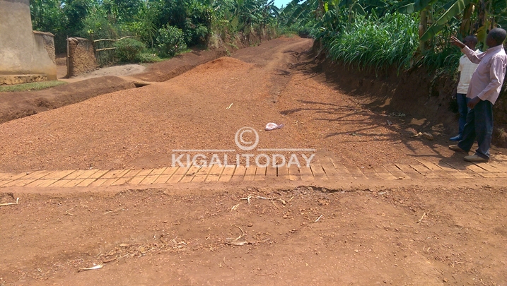 Iyi mihanda niyo yanyuze mu mirima yabo.