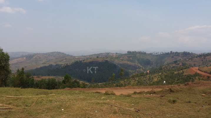 Iyi misozi yose izaterwaho icyayi