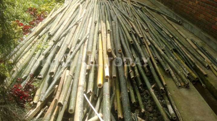 Imigano iyo imaze gukura barayisarura bakayikuramo ibikoresho bitandukanye.