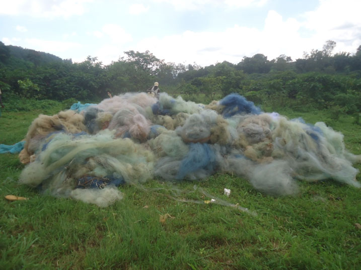 Iyi mitego ya Kaningini ifata n'abana b'amafi n'isambaza ndetse n'amagi bityo bigatubya umusaruro.