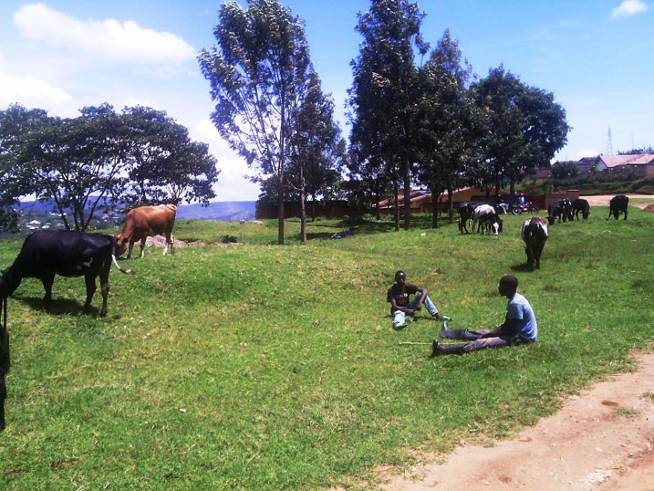 Izi nka ngo zijya zininjira muri Stade imbere kurisha mu gice giteyeho ubwatsi.