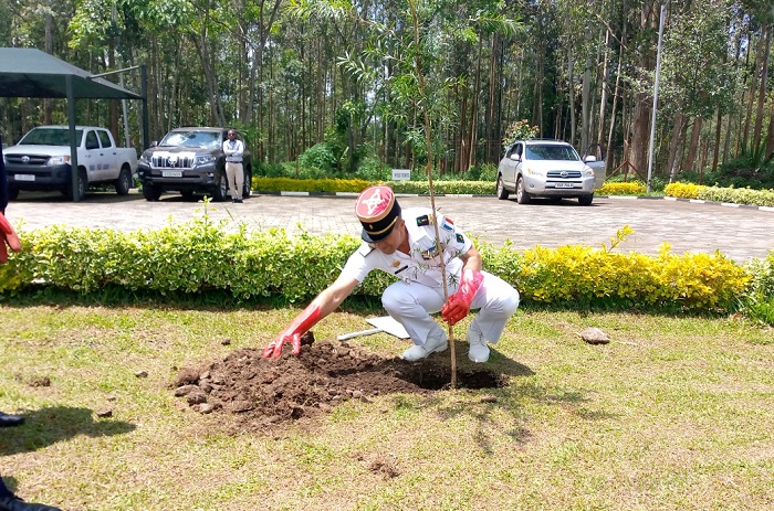 Col Duffour Nicolas atera igiti