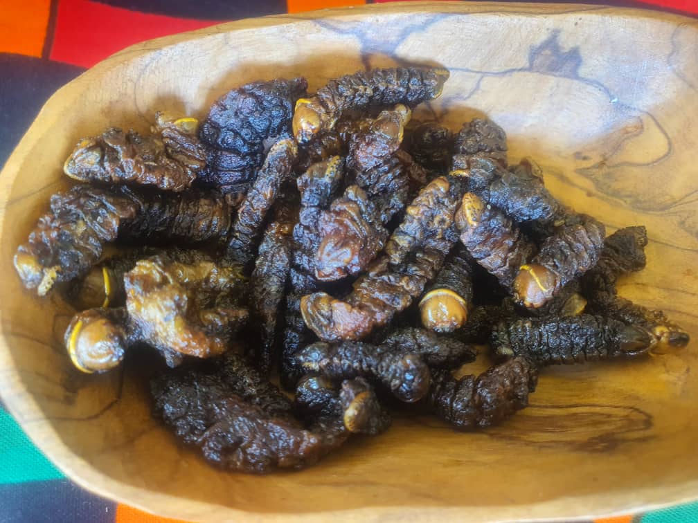 Ibinyabwoya ni ikiribwa gikunzwe muri Zambia