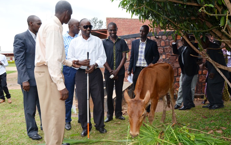 Kabarira Innoncent (wambaye ishati y'umukara) niwe wagabiwe inka