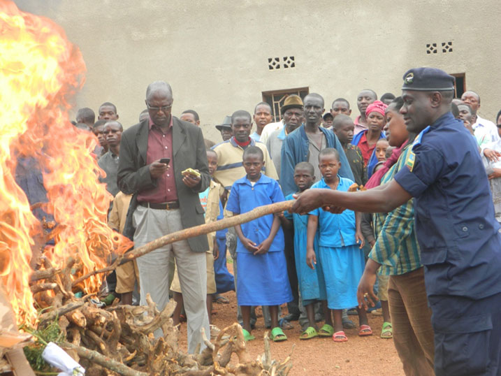 Gutwika ibiti bya Kabaruka bigamije guca intege abashaka kubicuruza kuko ari ibiti biri gucika ku isi.
