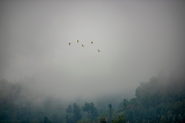 Izi nyoni muri iki kirere zirerekana ko aha hantu hari amahoro