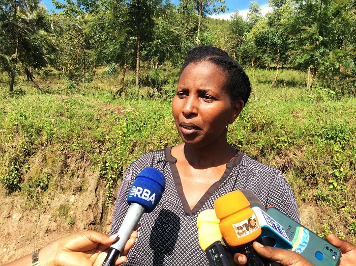 Kabera avuga ko ibiti byaterewe abaturage bizakomeza kongerwa