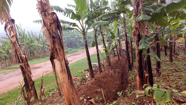 Umuyoboro wa Kilometero 6 niwo wacukuwe