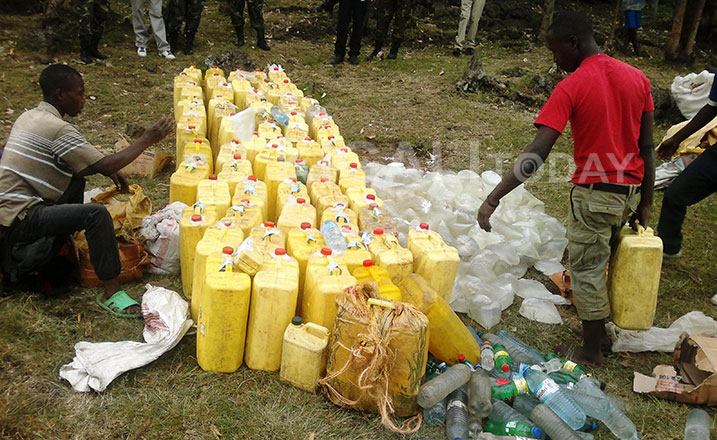 Abarembetsi nibo bakura Kanyanga muri Uganda bakayizana kuyicuruza mu Majyaruguru. Aha bari bagiye kumena iyo bafatanye abo Barembetsi 