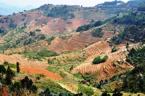 Mu byasuwe harimo ibikorwa by'iterambere ry'ubuhinzi.