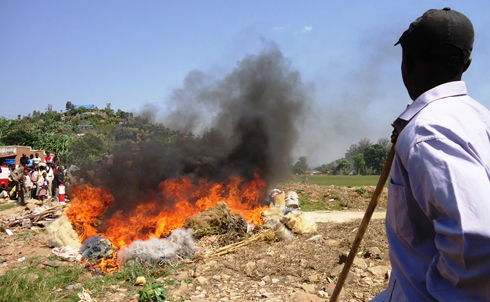 Ibyatwitswe byose muri rusange (urumogi, imitego y