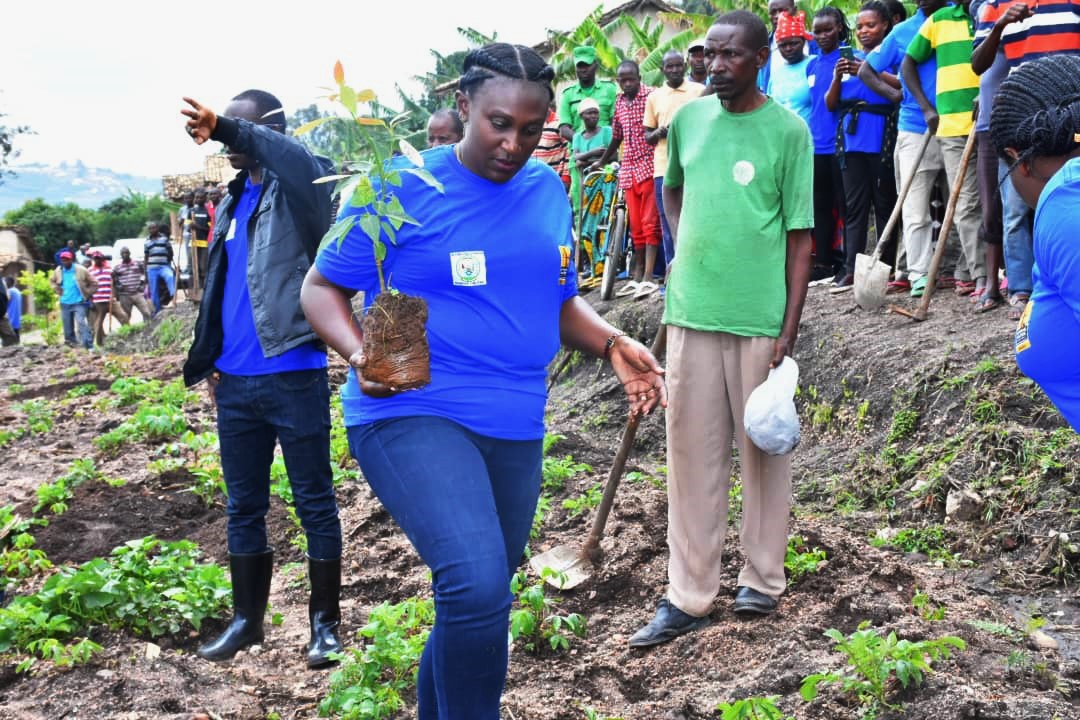 Guverineri Kayitesi na we yaje muri uwo muganda wo gutera avoka