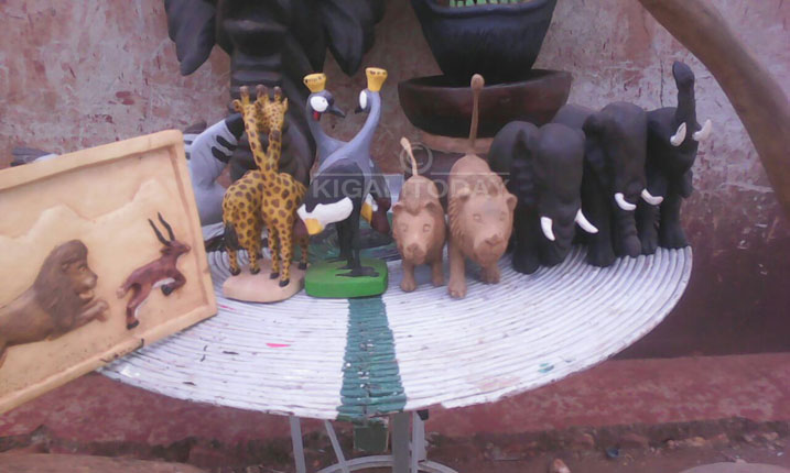 Mukeshimana Venuste w'i Kayonza amashusho y'inyamaswa ayagurisha ku bantu batandukanye barimo abakerarugendo