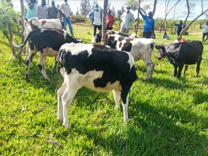 Hazatangwa inka 660