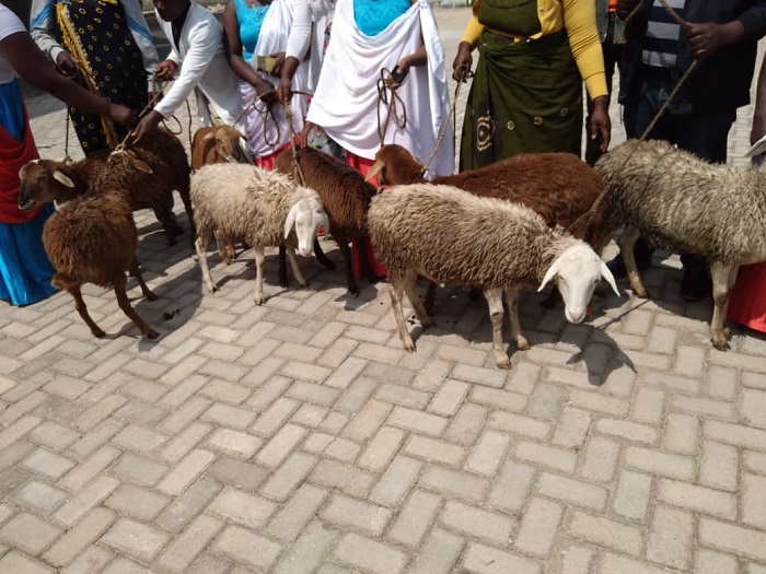 Amwe mu matungo magufi yashyikirijwe imiryango itishoboye yo mu Murenge wa Kinigi