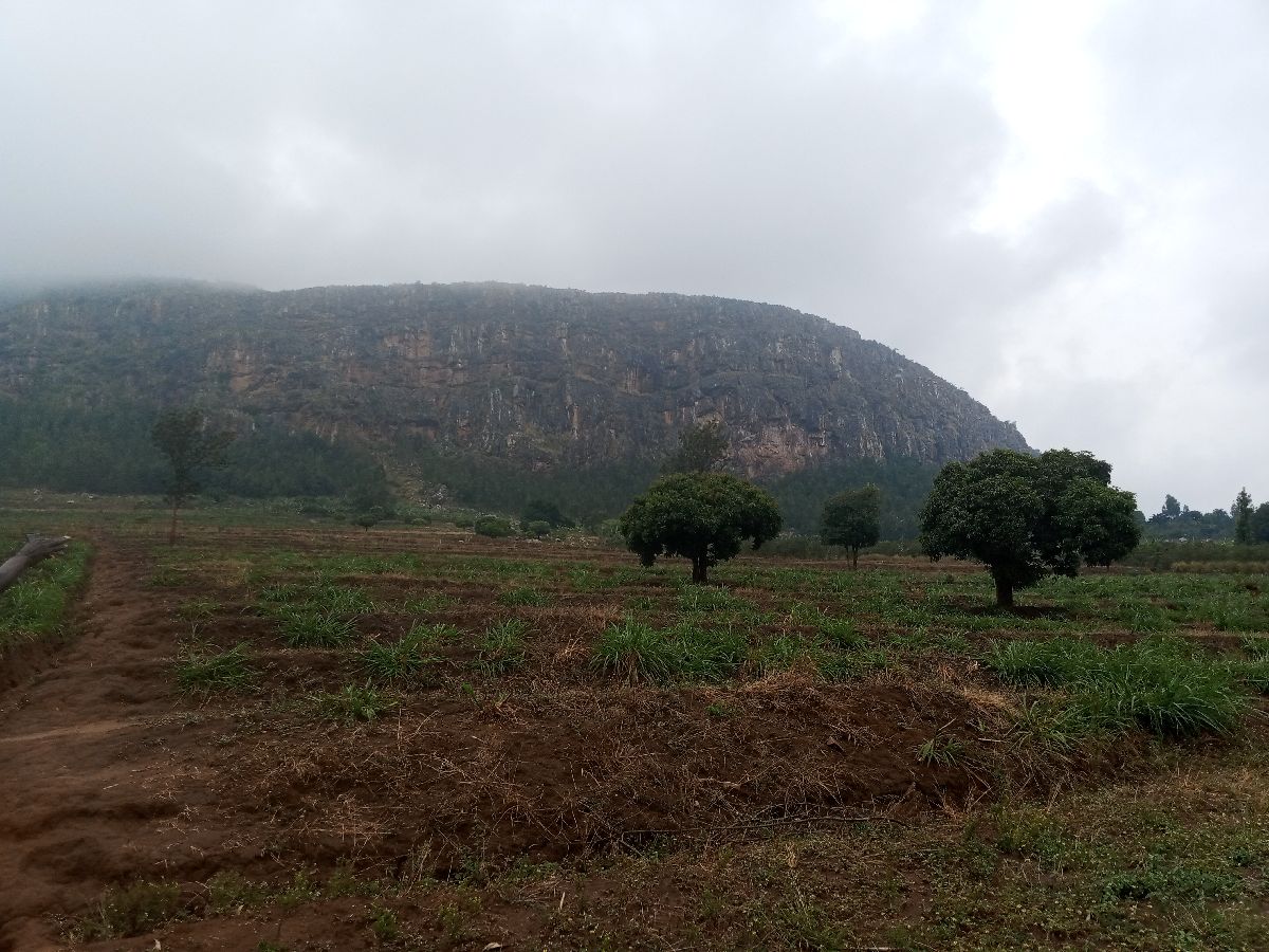 Ahagenewe ubukerarugendo ku musozi wa Nyamurindira muri Kirehe