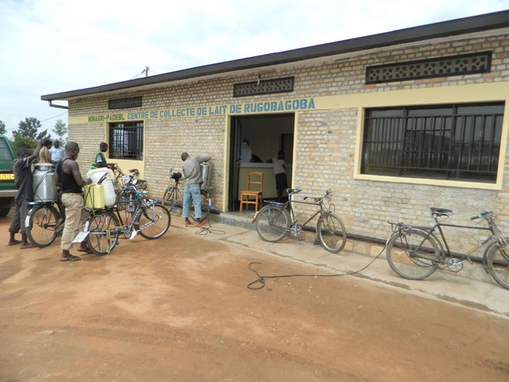 Korora inka byahaye akazi abazana amata ku ikusanyirizo.