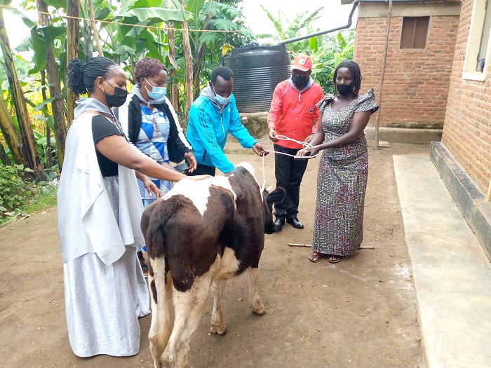 Mukandayisenga Justine worojwe inka ngo imufashe kuzamura ubukungu