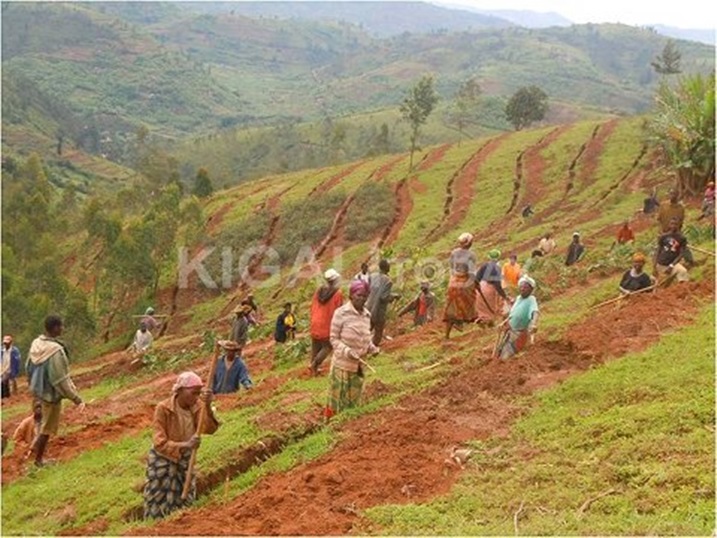 Abaturage bafahswa kwibeshaho muri gahunda za VIUP bagenerwa na leta.