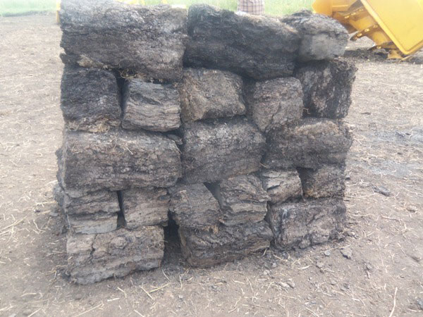 Ku mwaka hazajya haboneka nyiramugengeri ziri hagati ya toni ibihumbi 700 na 720.