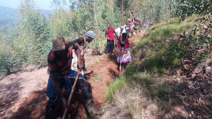 Ku musozi wa Rwimbeba hakozwe umuganda wo gusibura imirwanyasuri