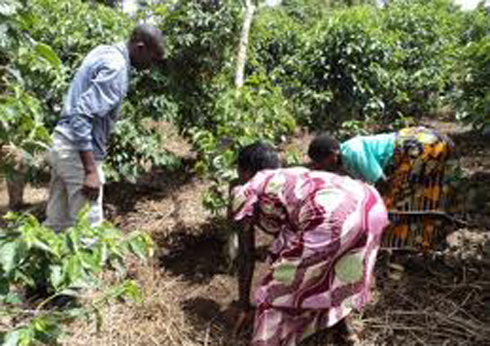 Muri gahunda yo kubyarana mu bukungu ngo harimo no kujya inama, abateye imbere berekera abandi inzira nziza.