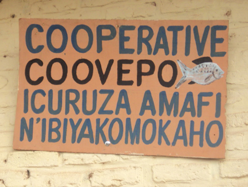 Koperative KOVEPO icuruza amafi n'ibiyakomokaho kuva muri 2008.