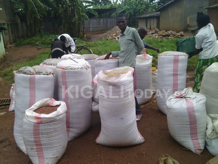 Kuba abaturage barimo kugurisha cyane ibyo bejeje kandi nga hareze bike biri mu biteye impungenge ko bashobora kuzahura n