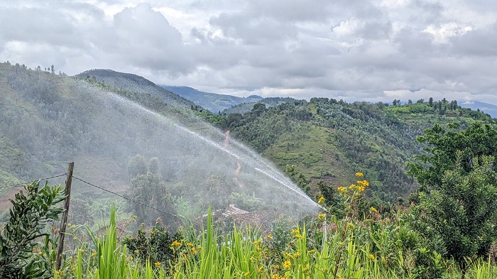 Uburyo bwo kuhira ibihingwa yashyizeho butuma ubuhinzi bwe budakangwa n'ibihe by'izuba ryinshi 