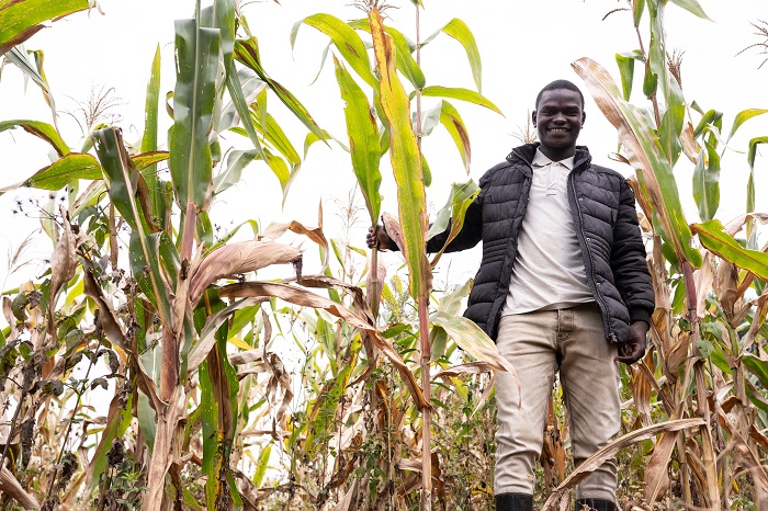 Kumenya gukoresha imbuto nziza n'ifumbire ni ryo banga