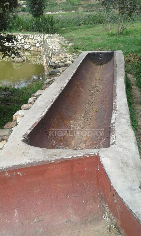 Mu Kunyu ahuhirirwaga inka bazidahira