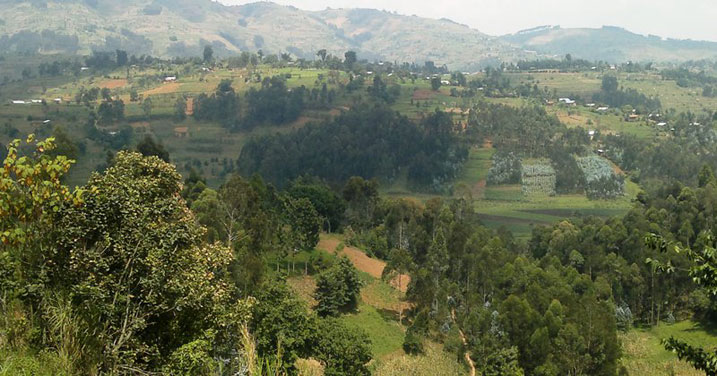 Kuri kariya gasozi ko hakurya muri iyi foto ni ho biteganyijwe ko iyo kaminuza izubakwa.