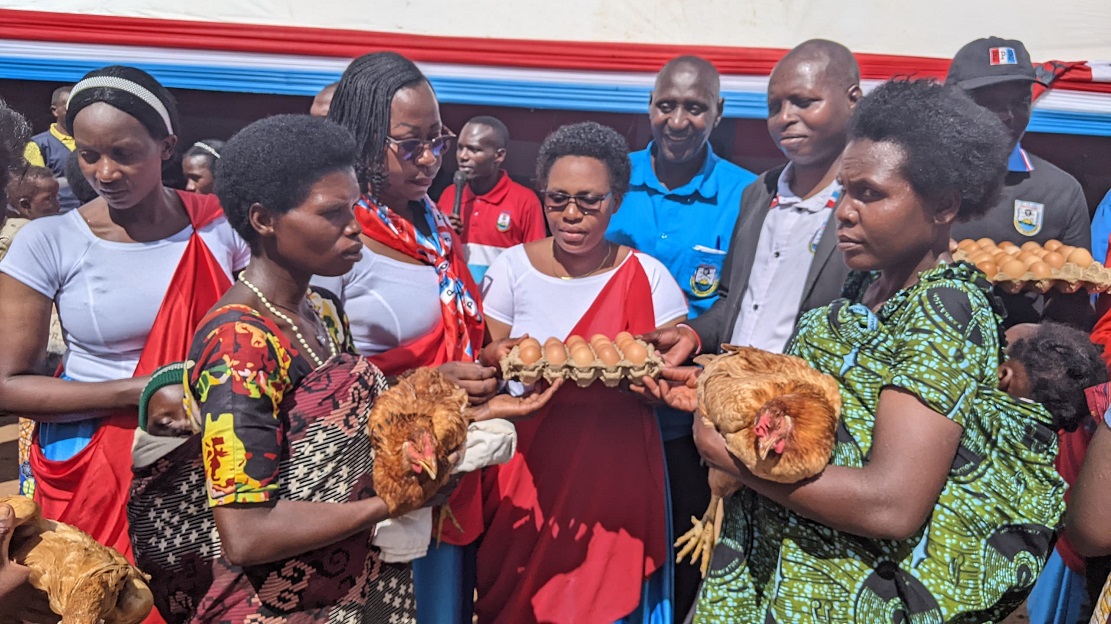 Imiryango ifite abana bari mu mirire mibi yirojwe inkoko zitera amagi ngo bajye babona ibyunganira amafunguro bategurira abana