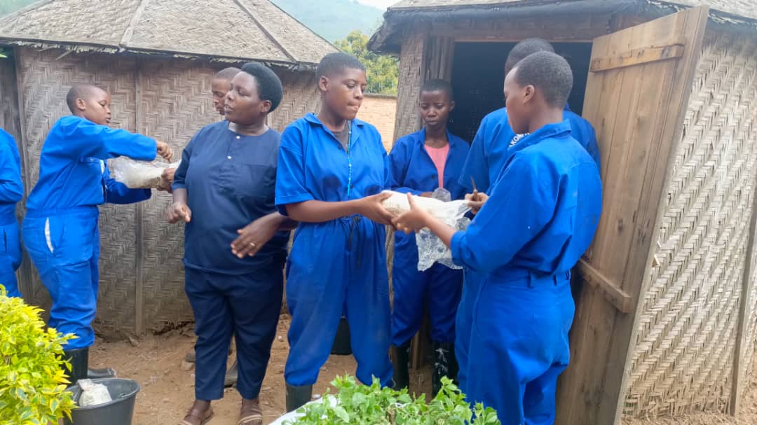 Barigisha umuturage uko bahinga neza ibihumyo bigatanga umusaruro utubutse