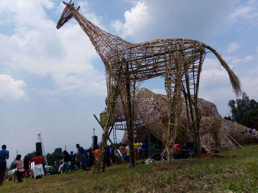 Inyamaswa zitandukanye ziri muri Pariki z'u Rwanda hari imitako izigaragaza 