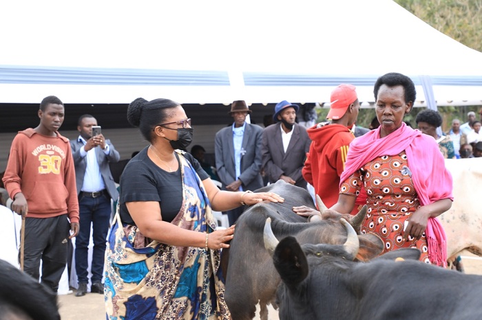 Kwibuka Jenoside mu ruganda rwa Mata byajyanye no kugabira inka imiryango itandatu y'abarokotse Jenoside