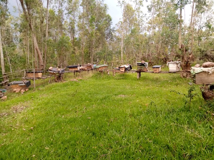 Uruvumvu rw'Abunze Ubumwe ba Gisagara