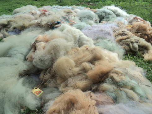 Basabwe kureka kuyikoresha kuko yangiza amagi n'udufi dutoya.