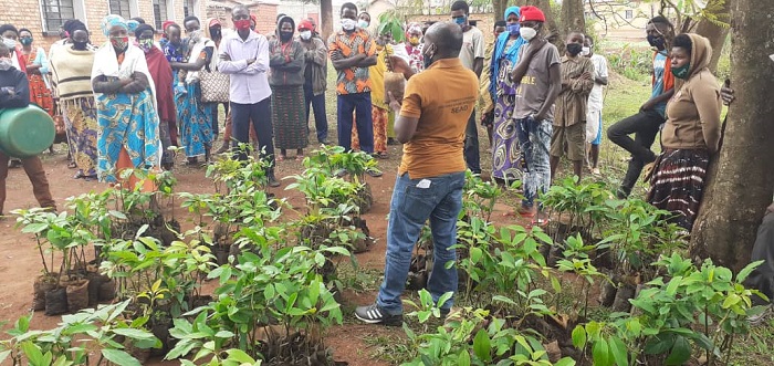 Mbere yo guhabwa ibiti babanje gusobanurirwa uko biterwa
