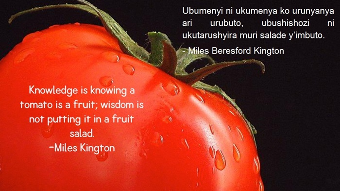 Miles Kington yaragize ati Ubwenge ni ukumenya ko urunyanya ari urubuto, ubushishozi ni ukutarushyira muri salade y