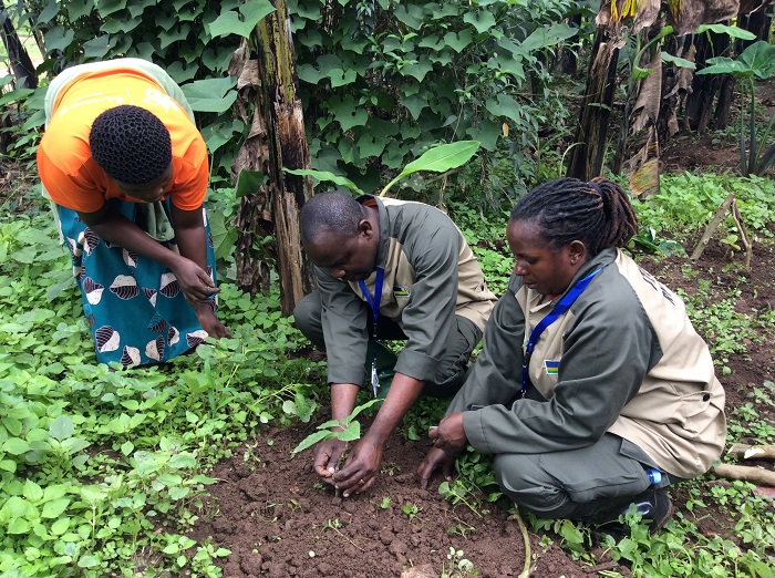 Abakozi ba Minisiteri y